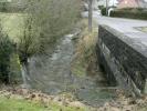 Ruisseau de Wardin-Harzy (5)